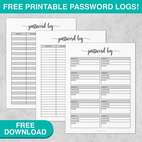 Password log